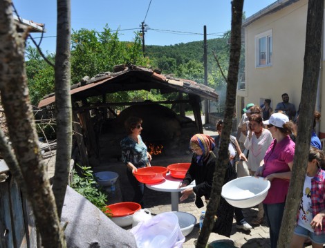 Tohum Takas Şenliği