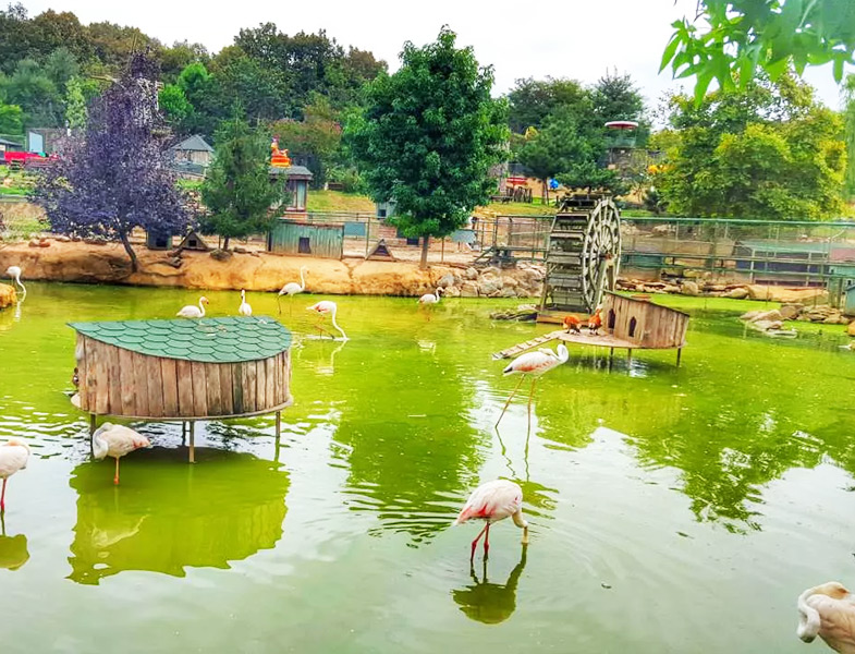 Polonezköy Tabiat Parkı Beykoz